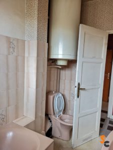 Vieux WC rose